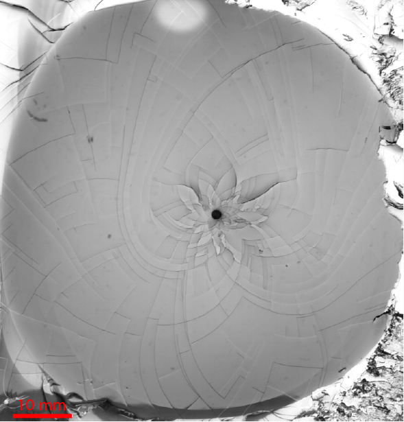 A fluid-driven fracture propagates radially in a transparent hydrogel. The fracture surface that is revealed post-experiment consists of beautiful fractal patterns called step-lines. These are small changes in height along the surface of the gel, which follow a logarithmic spiral shape. (Raw image)