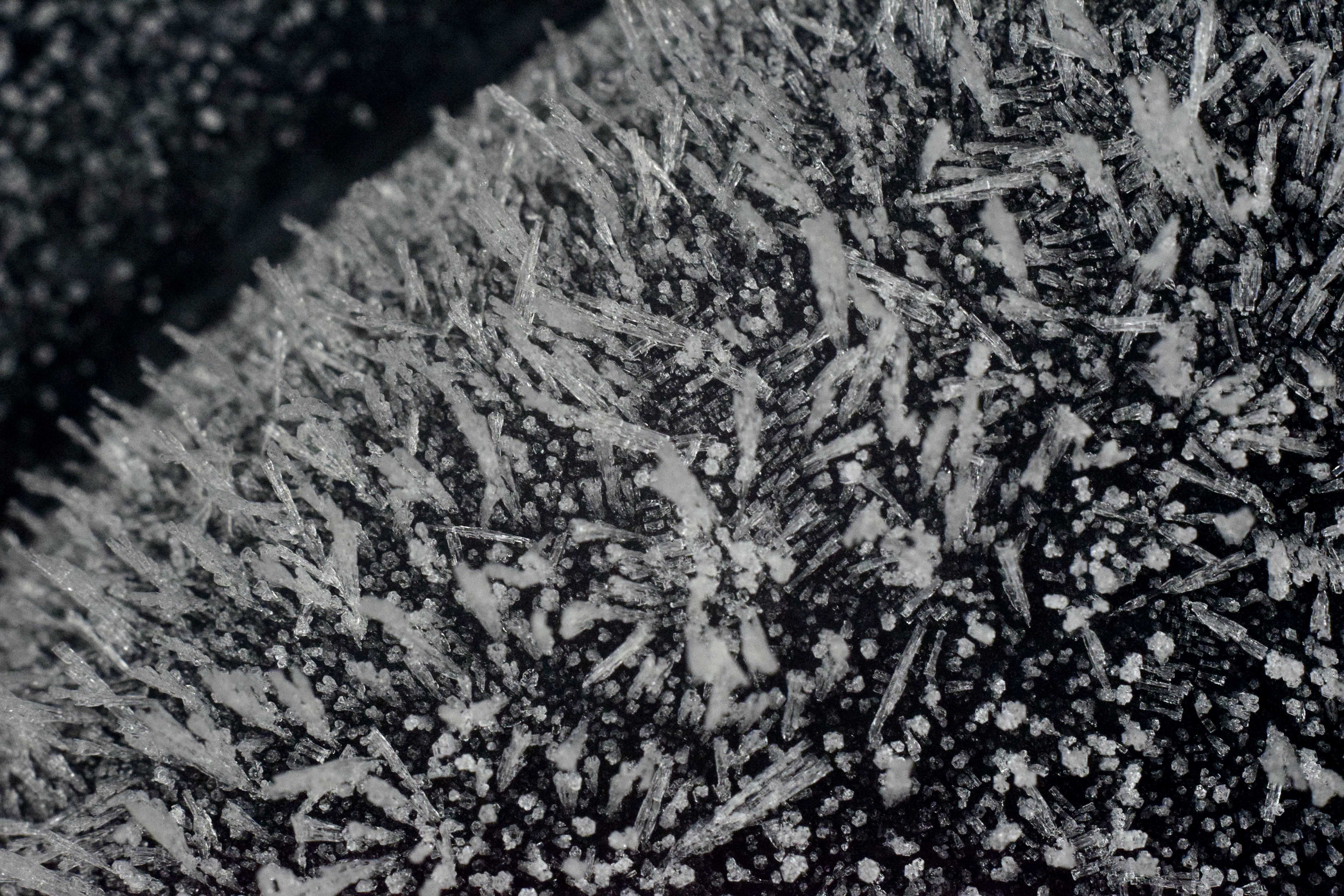 Ice spikes formed during the freezing of a thin water film.
