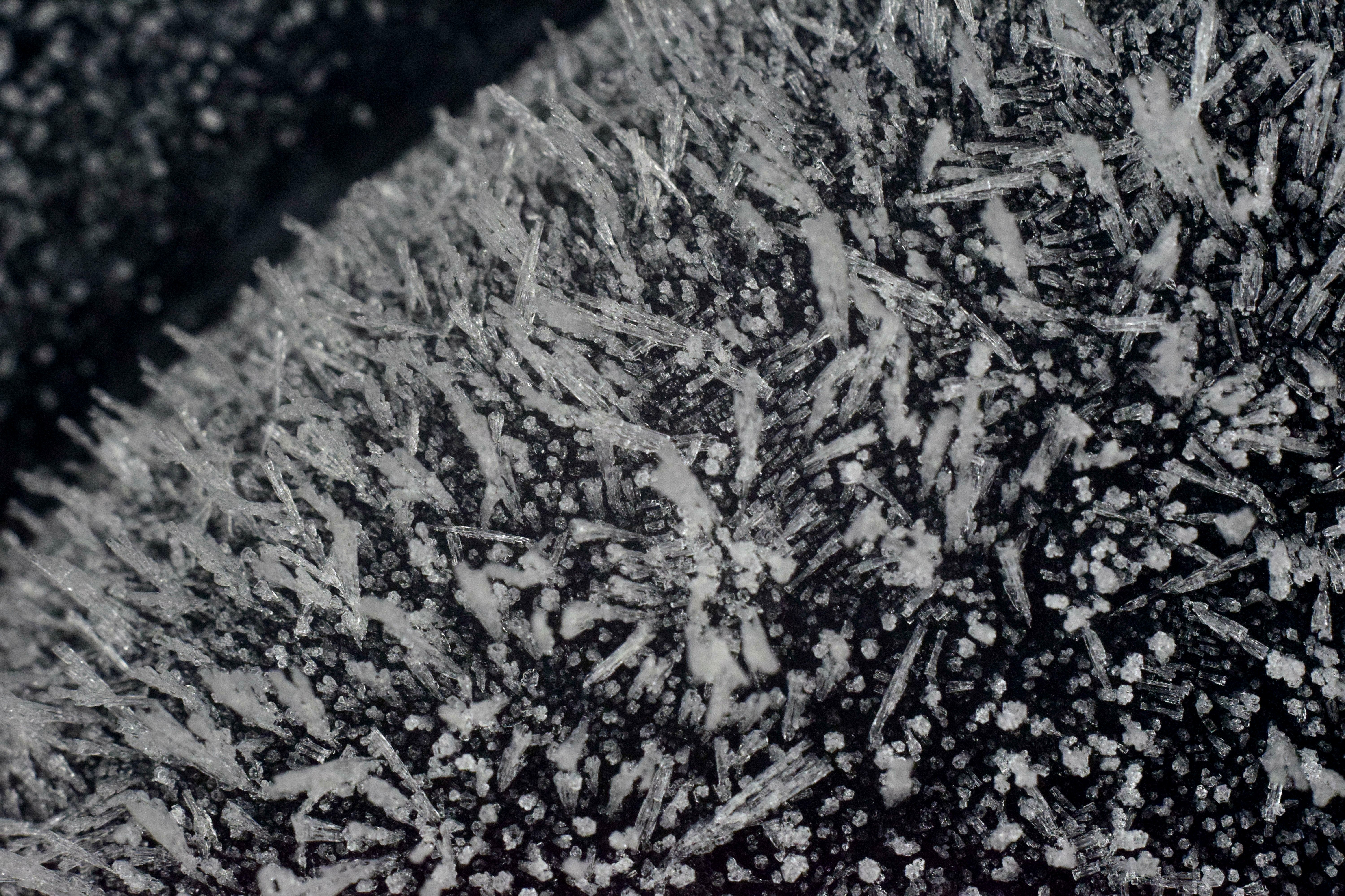 Ice spikes formed during the freezing of a thin water film.
