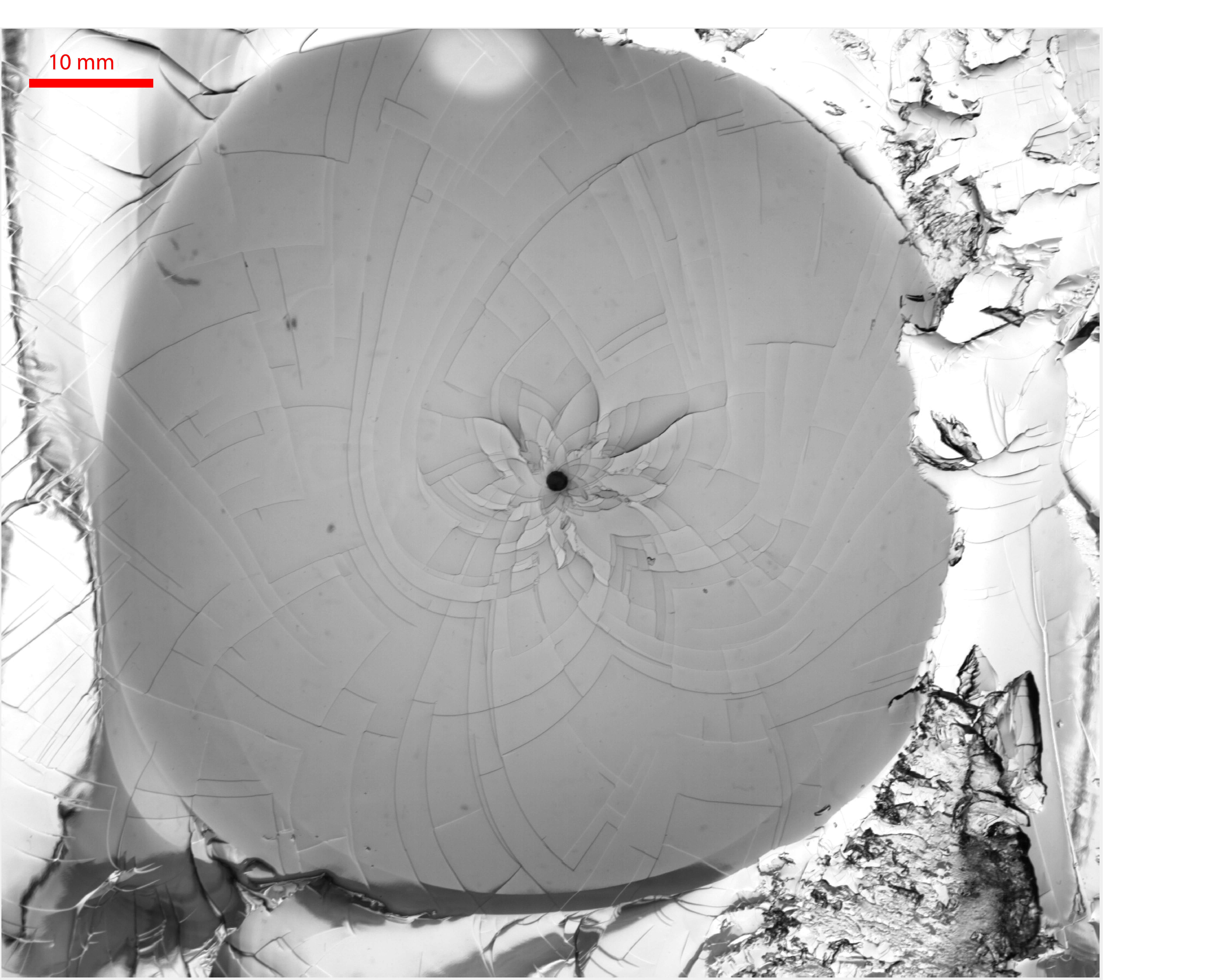 A fluid-driven fracture propagates radially in a transparent hydrogel. The fracture surface post experiment consists of beautiful fractal patterns called step-lines. These are small changes in height along the surface of the gel, which follow a logarithmic spiral shape. (No adjustments were made to the image.)