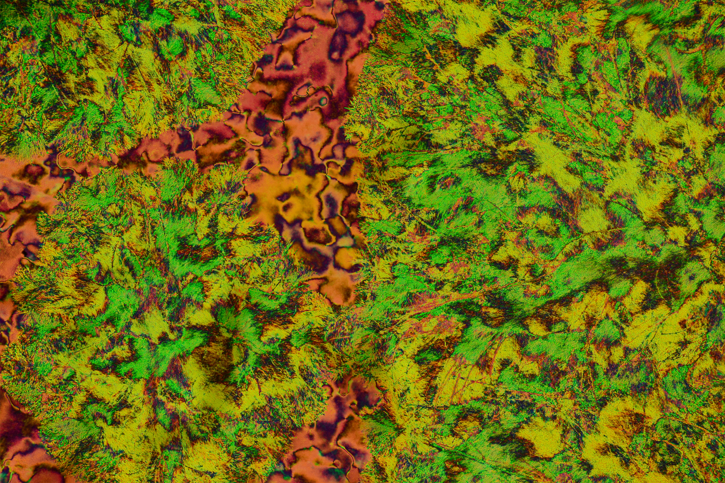 The image comprises a mixture of two liquid crystal mesogens  cooling under polarizing optical microscopy. One of the mesogens forms an intertwining polymer network, which can be seen nucleating from individual sites. The solid polymer matrix propagating through the sample develops a complex interface with the fluid liquid crystal.