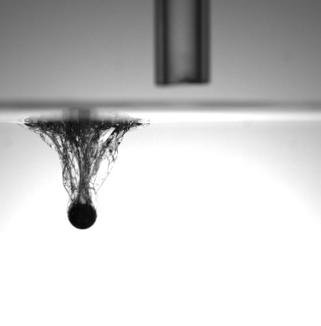 A solid sphere wrapped up in a thin polymer sheet and hanging from an air-liquid interface. The sphere had impacted a floating sheet but didn't submerge it, and now surface tension acting on the film boundary balances the negative buoyancy of the sphere, so it's 'hanging out' in the liquid.