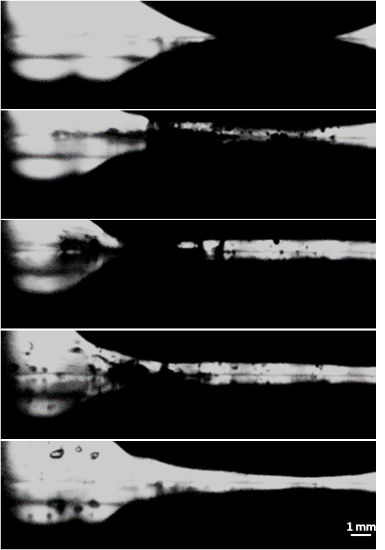 Composite image showing the times lapsed images of thermodynamic cycle of a trampolining elastic gel on a hot surface via release of water/gas molecules. By manipulating the gel/surface interface, we observe extreme Leidenfrost effect that provides a sheer platform for overall shape morphing of the gel.