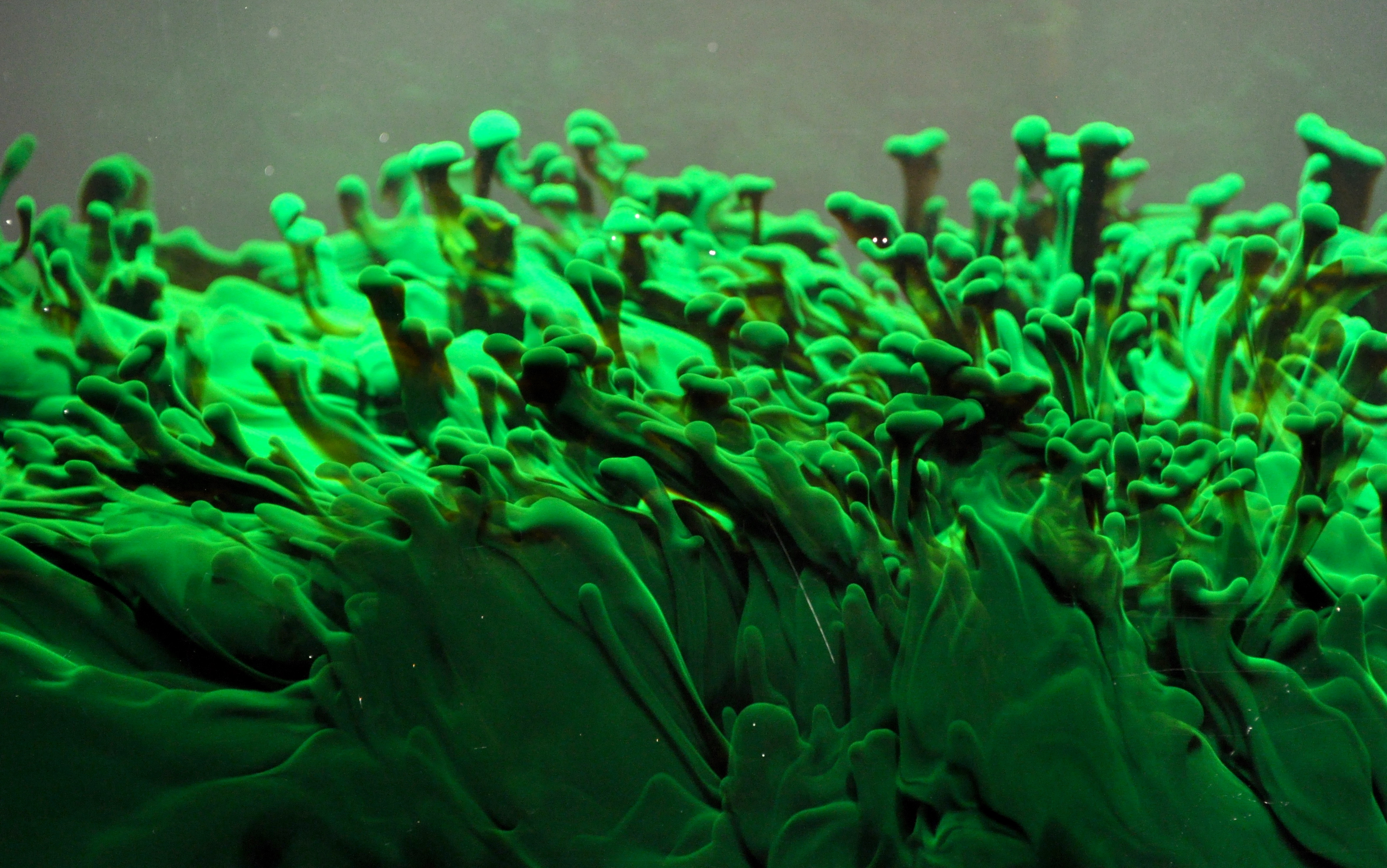 Heat from lamps above the experiment is absorbed by dyed, salty fluid, heating it up and making it less dense. This warm fluid rises, but the heat diffuses away, leaving dense, salty fluid in narrow vertical plumes. (Minor adjustments were made to brightness and contrast.)